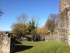Ruine Altburg in Regensdorf 1