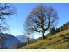 Buochserhorn mit Pilatus im Hintergrund
