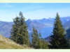 Vierwaldstättersee vom Buochserhorn aus