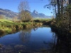 Im Moorgebiet des Lauerzesrsees