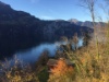Urnersee zwischen Sisikon und Flüelen