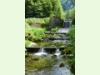 Gorges du Pichoux in Undervelier