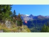 Im Puschlav kurz nach dem Berninapass