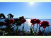 An der Promenade von Morges