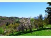 Arboretum im Vallon d'Aubonne