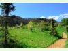 Arboretum im Vallon d'Aubonne
