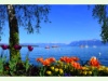 Lac Léman bei Morges