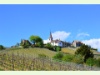 Weindorf Féchy im Frühling