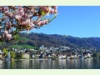 Stadt Zug im Frühling