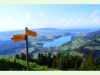 Blick auf den Greyerzersee beim Abstieg vom Dent de Broc