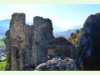 Ruine Neu Falkenstein in Balsthal