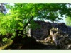 Ruine Gutenfels in Bubendorf