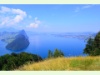 Vierwaldstättersee von der Wissifluh oberhalb von Vitznau aus