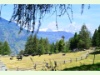 Hoch über Grächen mit Blick aufs Bietschhorn