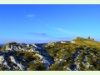 Auf dem Gipfel des Chasseral