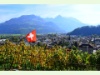Rebberg und Dorf Niederurnen