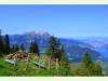 Abstieg vom Stanserhorn mit Pilatus im Hintergrund