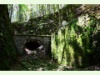 Trassée und Tunnel der stillgelegten Bahnstrecke Le Creux - Les Converts