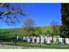 Friedhof und Rebberge von Trasadingen