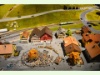 Swiss Milestones in Neuhausen - die Landsgemeinde darstellend