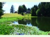 Lac de Joncs in Les Paccots