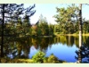 Etang de la Gruère in Saignelégier