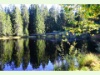 Etang de la Gruère in Saignelégier