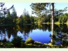 Etang de la Gruère in Saignelégier