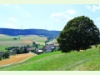 Weiler Altdorf in Thayngen