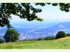 Blick von der Ruine Froburg auf Olten