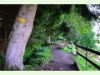 Milieu Suone in Haute Nendaz