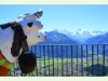 Eiger, Mönch und Jungfrau vom Harder Kulm aus