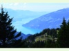 Thunersee von der Schynigen Platte aus
