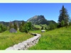 Der Leistkamm oberhalb des Walensees in Amden