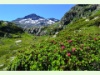 Auf dem Grossen Sankt Bernhard-Pass