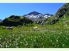 Auf dem Grossen Sankt Bernhard-Pass