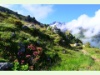 In den Höhen von Haute-Nendaz bei Combatseline