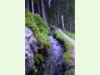 Suone Petit Ruisseau in Champex