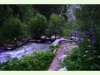 Suone Petit Ruisseau in Champex