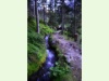 Suone Petit Ruisseau in Champex