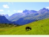 Auf der Alp Flix in Sur