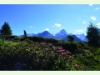 Blick von der Alp Flix zum Piz Platta