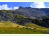 Schafe auf der Tschinglenalp in Elm