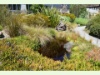 Im botanischen Garten in der Stadt Bern