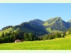 Freiburger Landwirtschaft auf einer Alp bei Grandvillard