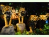 Im naturhistorischen Museum in Genf