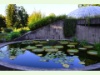 Im botanischen Garten in Zürich