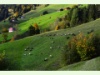 Herbst in Oberrickenbach bei Wolfenschiessen