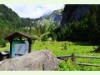 Der botanische Alpengarten La Thomasia in Bex