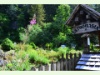 Der botanische Alpengarten La Thomasia in Bex